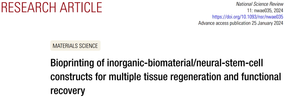 3D打印无机生物材料 神经干细胞构建体推动组织再生与功能恢复